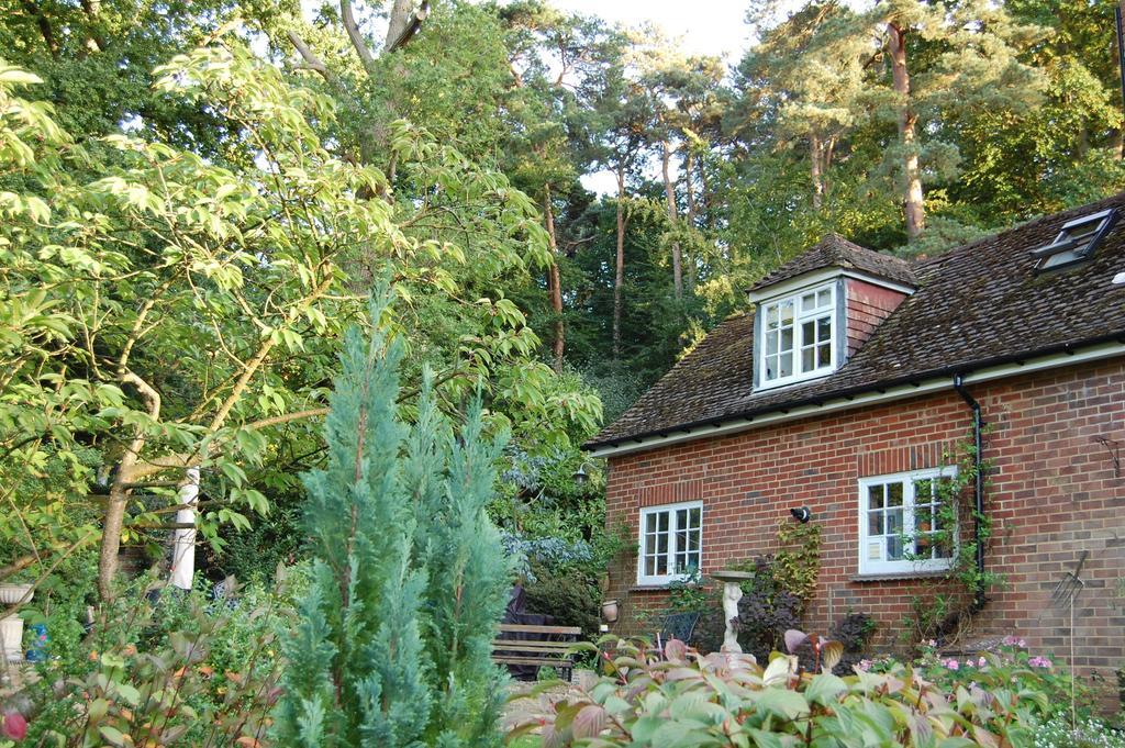 The Haven At Talysarn Apartment Ascot  Room photo